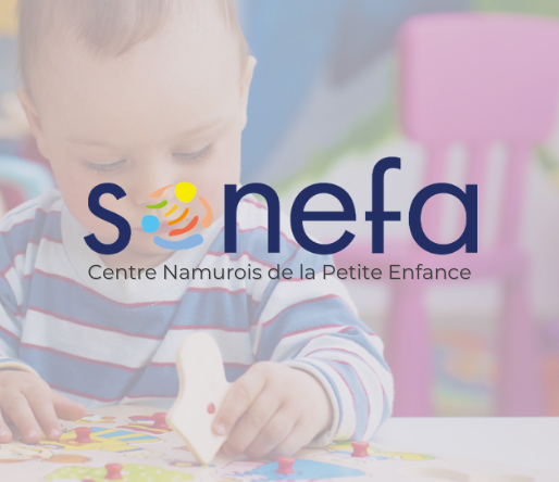 Sonefa projet web réalisé par Fidelo